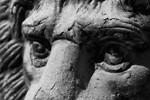Macro: Black and White portfolio